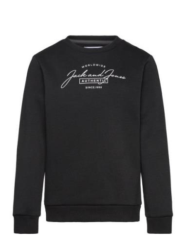 Jjferris Sweat Crew Neck Mni Black Jack & J S