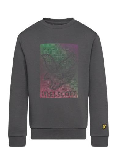 Dotted Eagle Graphic Sweatshirt Grey Lyle & Scott