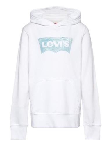 Lvb Palm Batwing Fill Hoodie / Lvb Palm Batwing Fill Hoodie White Levi...