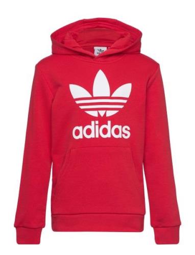 Trefoil Hoodie Red Adidas Originals