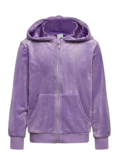 Hoodjacket Velour Purple Lindex