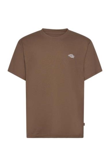 Summerdale Ss Tee Brown Dickies