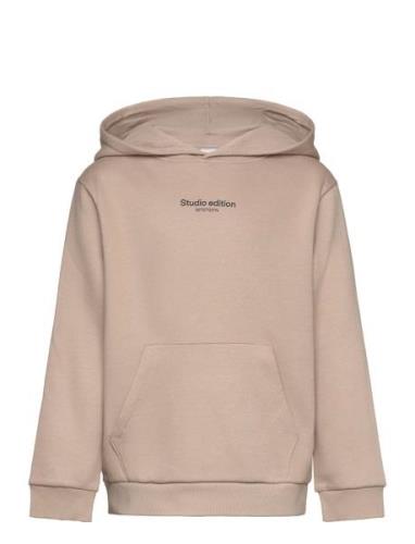 Nkmbrody Ls Sweat Wh Bru Noos Beige Name It