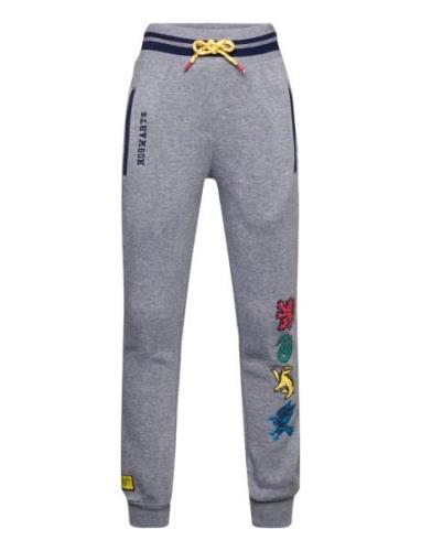 Pantalon Grey Harry Potter