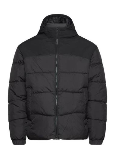 Jjmoon Hood Puffer Black Jack & J S