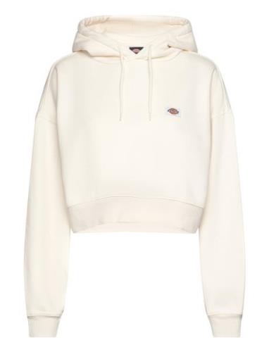 Oakport Cropped Hoodie Cream Dickies