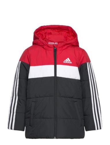 Padded Jacket Kids Red Adidas Sportswear