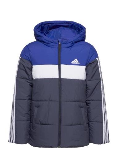 Padded Jacket Kids Blue Adidas Sportswear