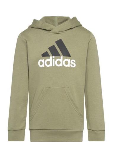 U Bl 2 Hoodie Khaki Adidas Sportswear