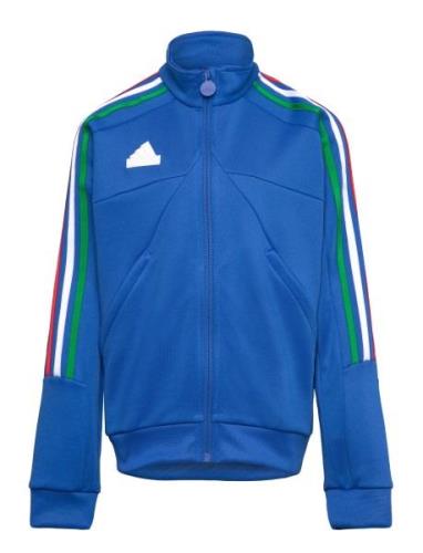 J Np Ttop Blue Adidas Sportswear