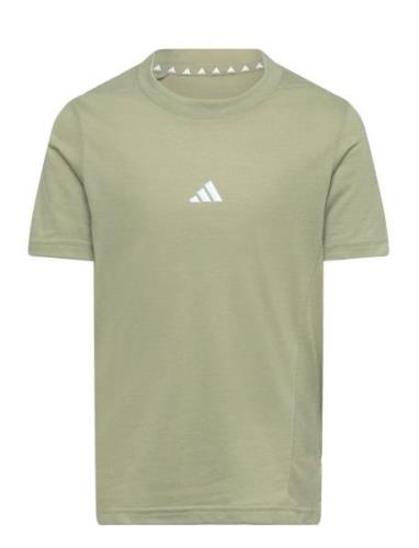 J D4T Tee Khaki Adidas Sportswear