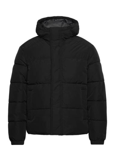 Jjebradley Puffer Hood Sn Black Jack & J S