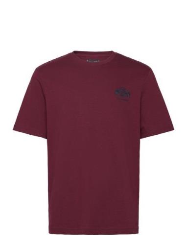 Small Crest Embro Tee Burgundy Tommy Hilfiger