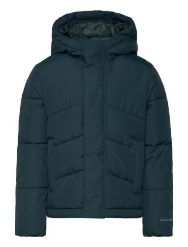 Jjworld Puffer Jacket Mni Navy Jack & J S