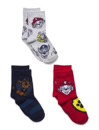 Socks Patterned Paw Patrol