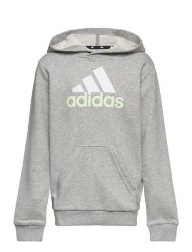 U Bl 2 Hoodie Grey Adidas Performance