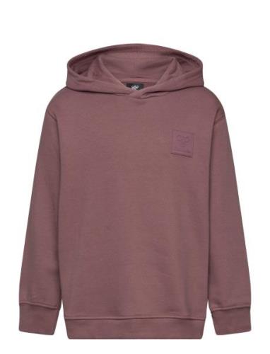 Hmlclean Hoodie Pink Hummel