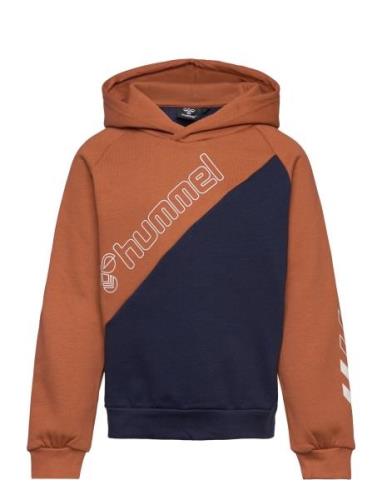 Hmlaxel Hoodie Brown Hummel