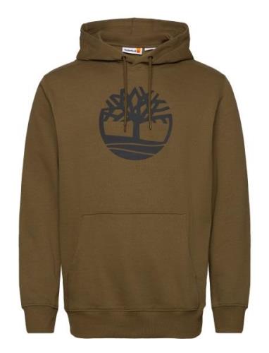 Kennebec River Tree Logo Hoodie Dark Olive Brown Timberland