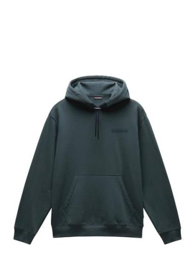 Albula Hoodie Green Napapijri