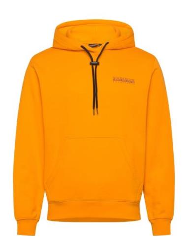 Albula Hoodie Orange Napapijri