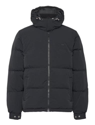 Rockridge Short Puffer Jet Bla Black LEVI´S Men