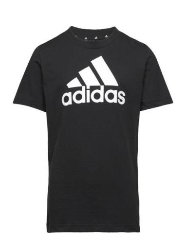 Lk Bl Co Tee Black Adidas Performance