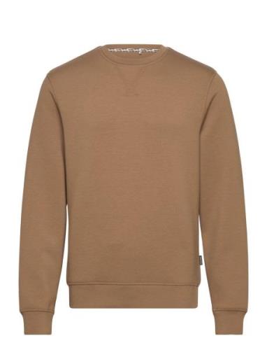 Sweatshirt - Pp Noos Brown Blend