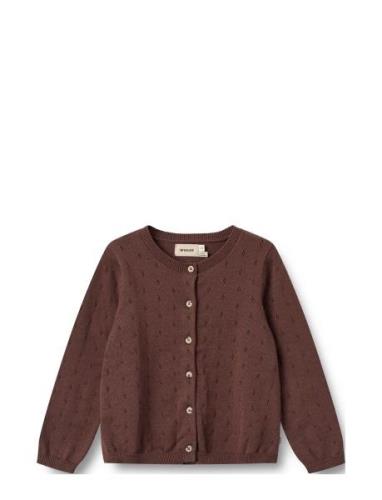 Knit Cardigan Maia Burgundy Wheat