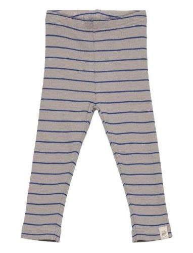 Legging Modal Thin Striped Grey Petit Piao