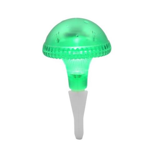 Assisi svamp solcell LED grön (Grön)