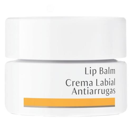 Dr. Hauschka Lip Balm 4,5ml 4 ml