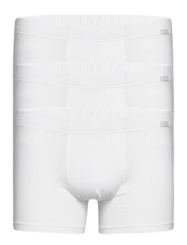 Cotton+ Trunk 3-P Boxerkalsonger White Jockey