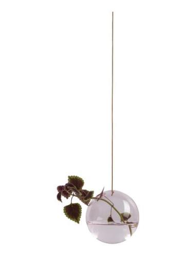 Hanging Flower Bubble Home Decoration Vases Pink Studio About