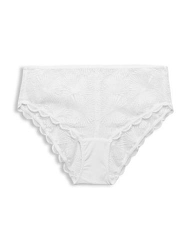Recycled: Briefs With Lace Trosa Brief Tanga White Esprit Bodywear Wom...