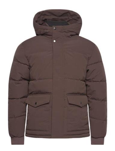 Jjdavid Puffer Jacket Fodrad Jacka Brown Jack & J S