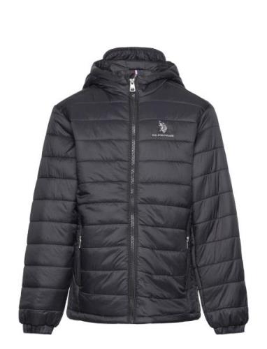 Uspa Hooded Quilted Jacket Fodrad Jacka Black U.S. Polo Assn.