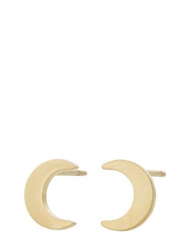 Bright Night Studs Accessories Jewellery Earrings Studs Gold Edblad