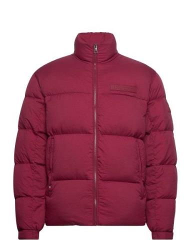 New York Gmd Down Puffer Jacket Fodrad Jacka Burgundy Tommy Hilfiger