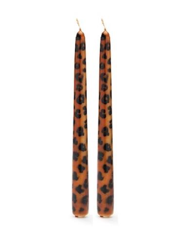 Anna + Nina Leopard Candle - Set Of 2 Brun