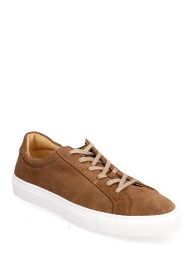 Classic Sneaker -Grained Leather Låga Sneakers Brown S.T. VALENTIN