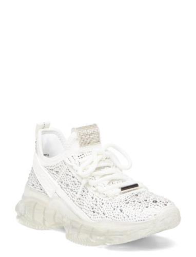 Maxima-R Sneaker Låga Sneakers White Steve Madden