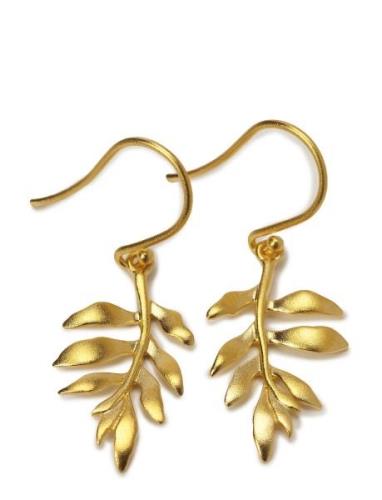 Little Tree Of Life Earring - Gold Örhänge Smycken Gold Julie Sandlau