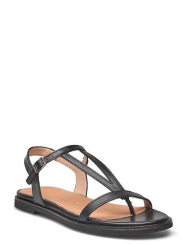 Jimena Platta Sandaler Black Wonders