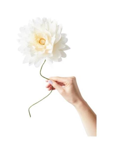 Paper Flower Home Decoration Paper Flowers Cream Studio About