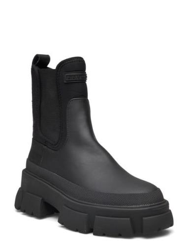 Triumphal Bootie Shoes Chelsea Boots Black Steve Madden