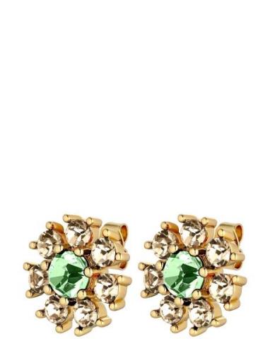 Aude Sg L.green/Golden Accessories Jewellery Earrings Studs Green Dyrb...