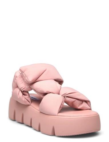 Bonkers Sandal Shoes Summer Shoes Platform Sandals Pink Steve Madden