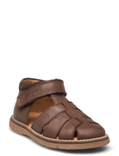 Classic™ Velcro Sandal Shoes Summer Shoes Sandals Brown Pom Pom