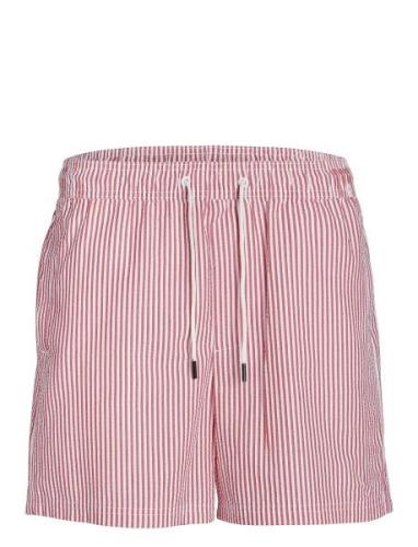 Jpstfiji Jjswim Seersucker Ss24 Ly Badshorts Red Jack & J S